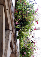 BEAUN05 Beaune Flower Pots Against Stone and Timber