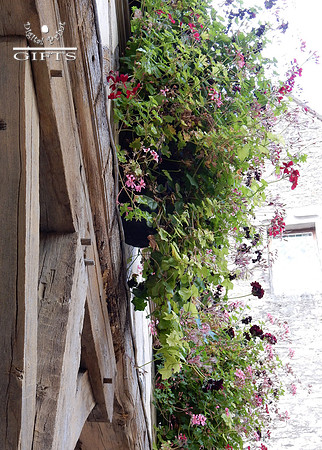 BEAUN05 Beaune Flower Pots Against Stone and Timber