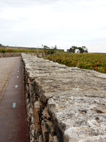 VIN03 Clos de Vougeot Vineyard Wall