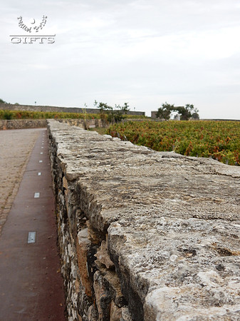 VIN03 Clos de Vougeot Vineyard Wall