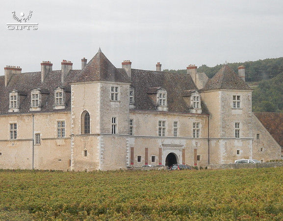 VIN02 Clos de Vougeot