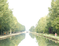 BCAN02 Burgundy Canal In Chartreuse