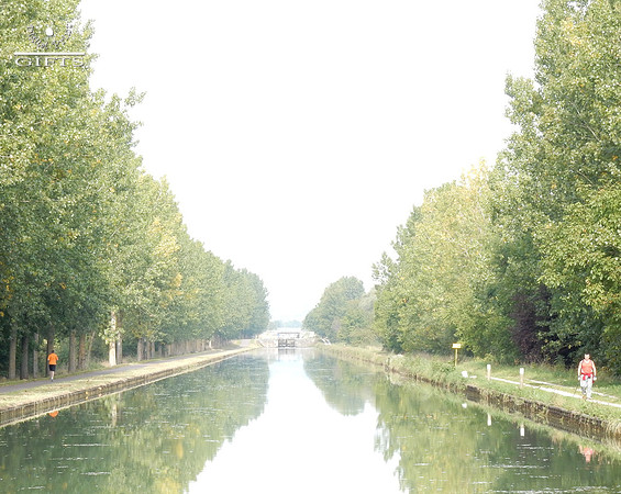 BCAN02 Burgundy Canal In Chartreuse