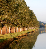 AUTUM01 Burgundy Canal In Light Golden Hues