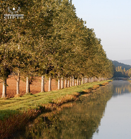 AUTUM01 Burgundy Canal In Light Golden Hues