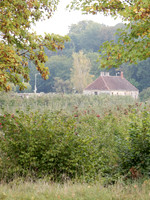 ORCH02 Apple Orchard On The Saone River In France
